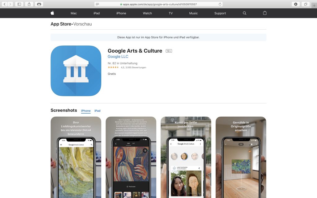 Kultur virtuell erleben: Google Arts & Culture; Screenshot artsandculture.google.com