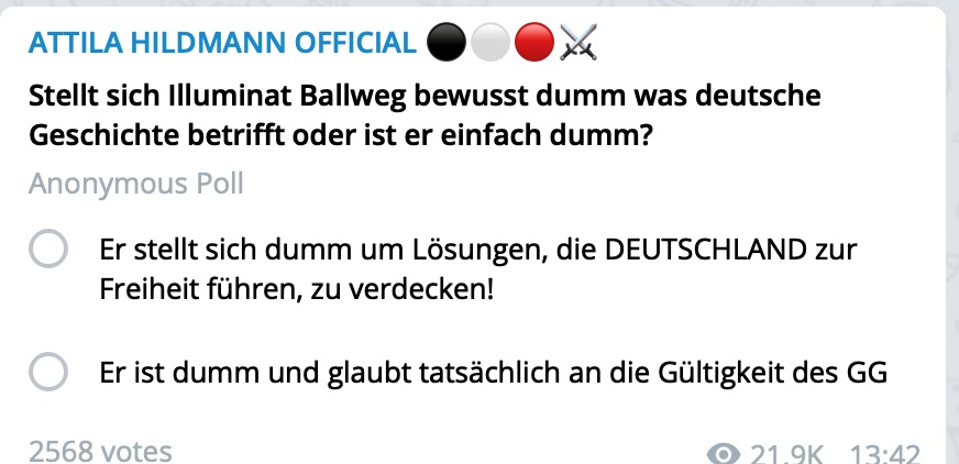 Eine typische Hildmann-Umfrage; Screenshot Telegram