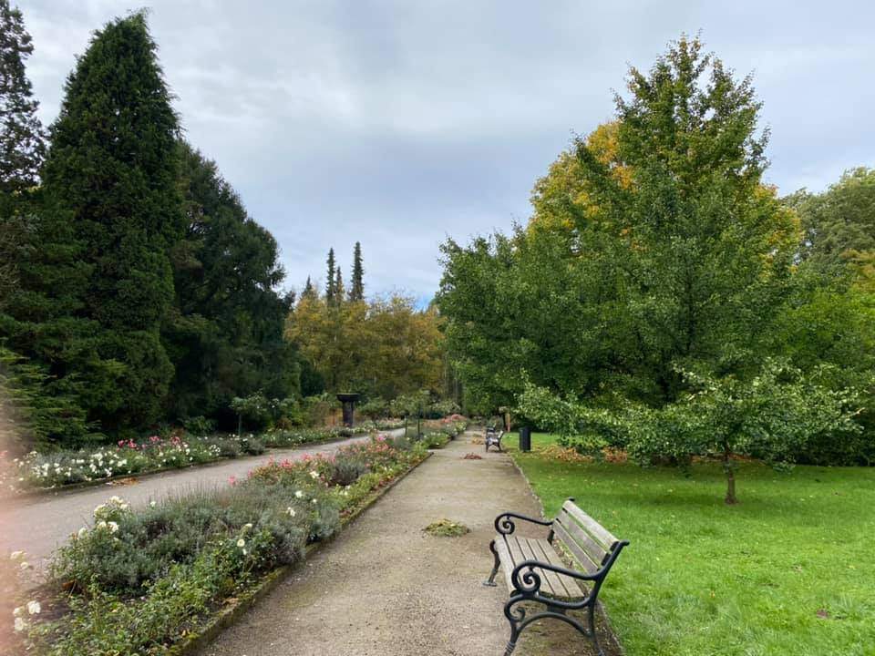 Der Rombergpark in Dortmund gehört auch im Herbst zu den Top-Schönheiten des Ruhrgebiets 